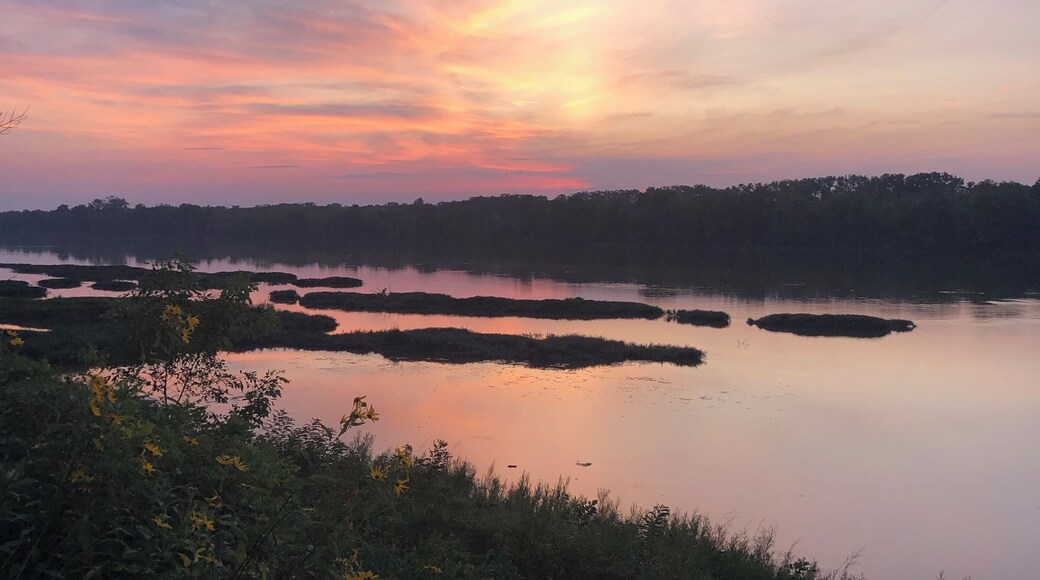 Beautiful world 🌎