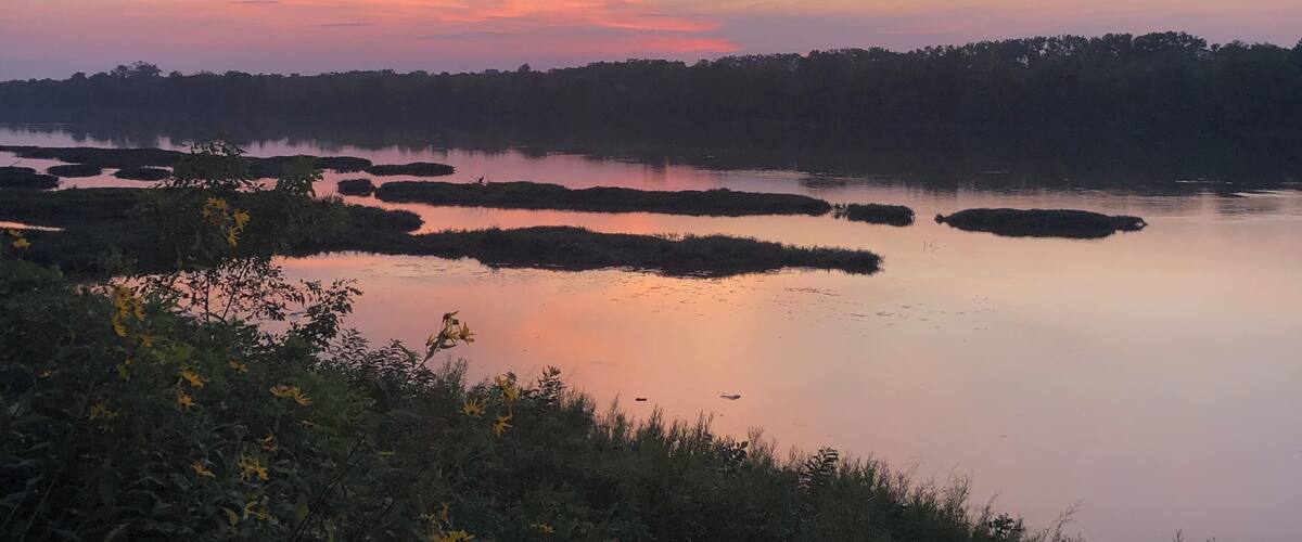 A sunset over a calm lake with floating vegetation and a forested shoreline.