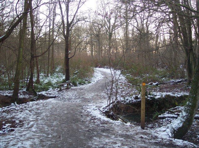 Footpath and footbridge in Blean Woods This path leads from Grimshill Wood towards Blean Wood. It passes over an unnamed stream in the wood leading to Blean.