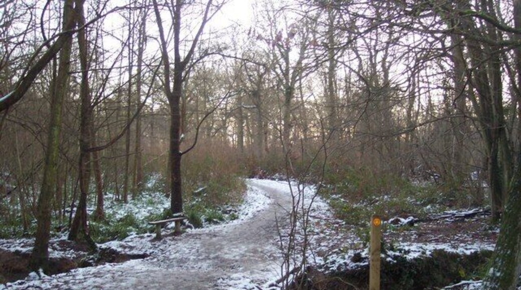 Footpath and footbridge in Blean Woods This path leads from Grimshill Wood towards Blean Wood. It passes over an unnamed stream in the wood leading to Blean.