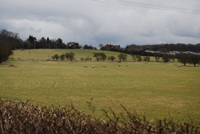 A green field with sheep grazing, trees, and a cloudy sky.