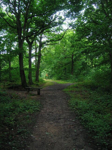 Blean Woods Nature Reserve The largest woodland area in Kent covering a large area to the north west of Canterbury. This view is to the north of the junction of footpaths from Moat Lane.