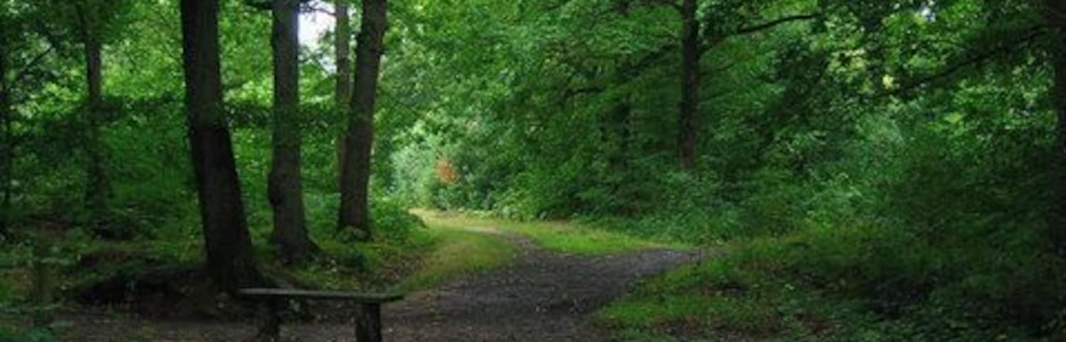 Blean Woods Nature Reserve The largest woodland area in Kent covering a large area to the north west of Canterbury. This view is to the north of the junction of footpaths from Moat Lane.