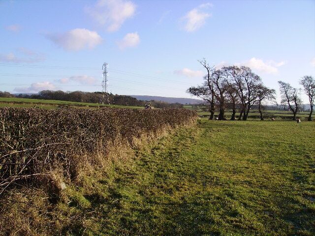 Farmland Near Bay Horse. From the road near 5 lane ends
