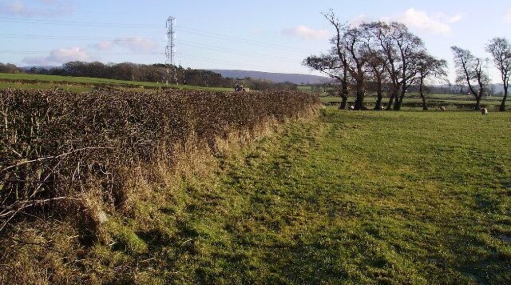 Farmland Near Bay Horse. From the road near 5 lane ends