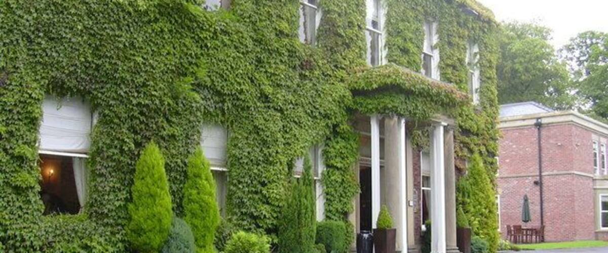 A building covered in ivy, with a white facade and columns at the entrance.
