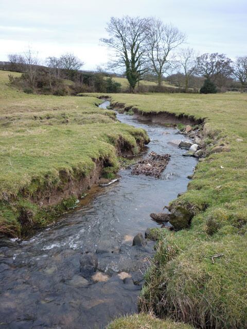 The River Cocker heads south The footpath crosses the river hereabouts (no bridge). Not a problem today but could be tricky in wet weather.