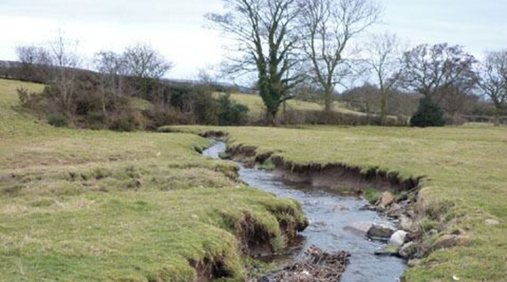 The River Cocker heads south The footpath crosses the river hereabouts (no bridge). Not a problem today but could be tricky in wet weather.