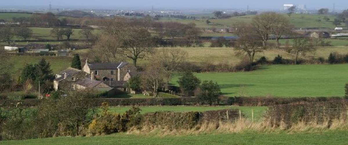 A rural landscape with a large house surrounded by fields and trees.
