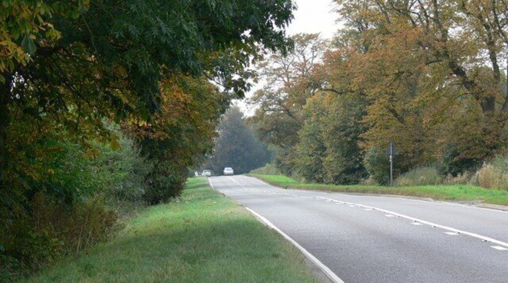 A4304 Theddingworth Road About midway between the south Leicestershire villages of Lubenham and Theddingworth.