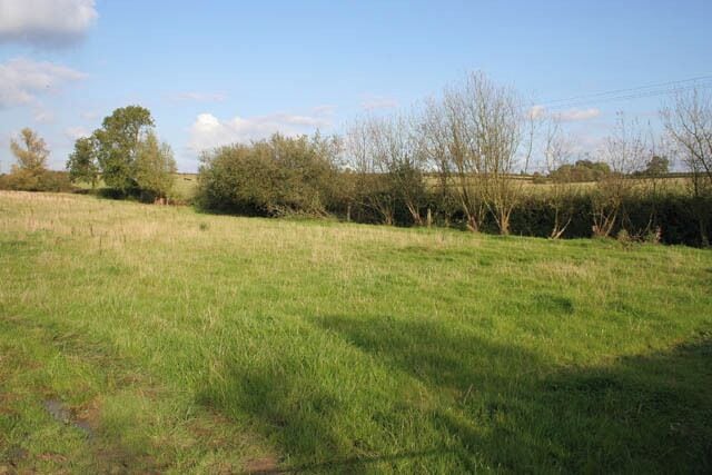 Farmland between Waltham and Eastwell A row of pollarded willows marks the line of a brook.
