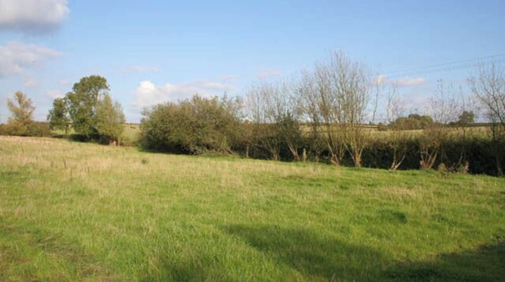 Farmland between Waltham and Eastwell A row of pollarded willows marks the line of a brook.
