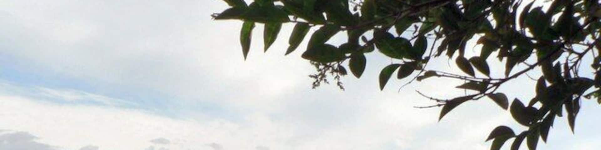 Across playing field to Beech Rise and Sleaford Wood