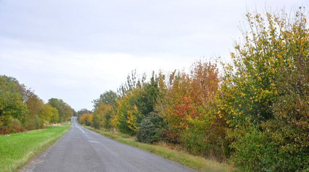 Road to Aswarby off the A15