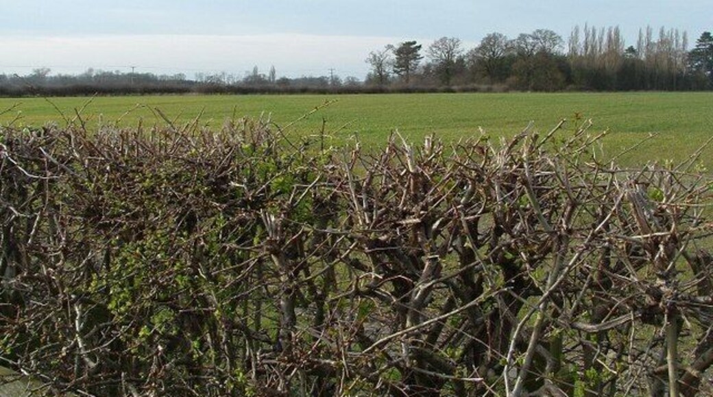 Aswarby Former estate land near to Aswarby Lincolnshire