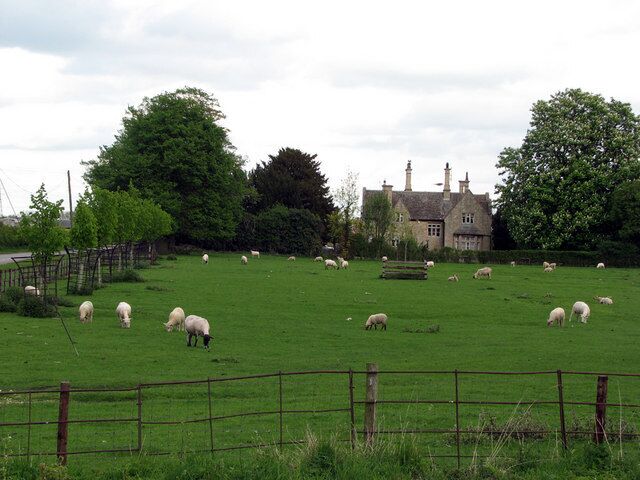 Sheep at Aswarby