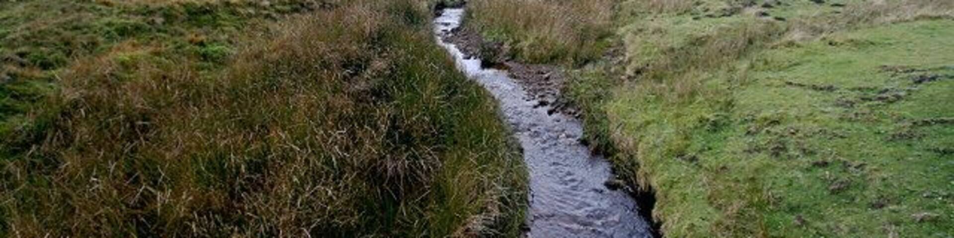 Roe Beck Roe Beck gathers its waters on Arkengarthdale Moor and flows east into the River Arkle. At this point it passes under the main road, just next to the track to Park Head.