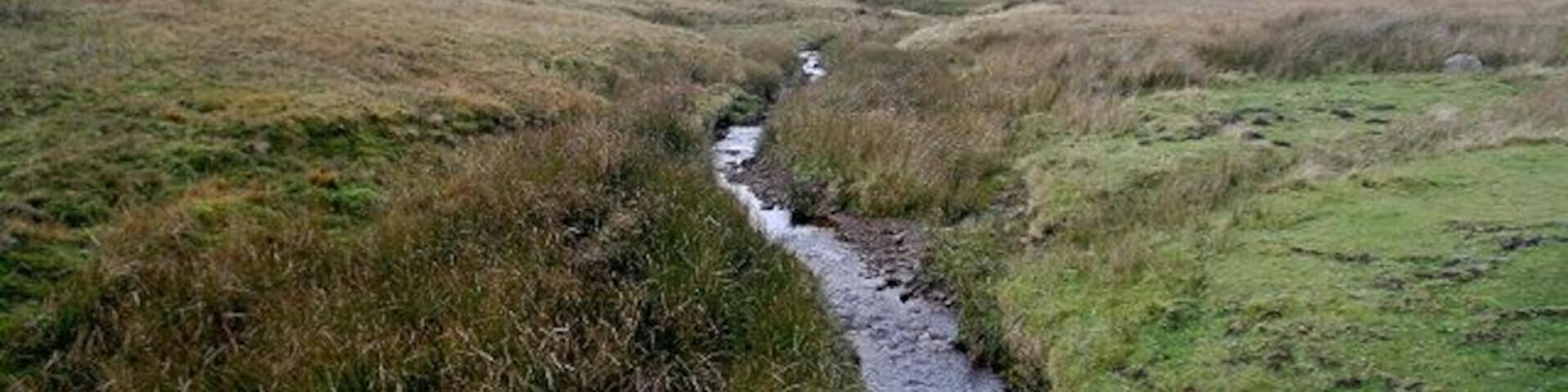 Roe Beck Roe Beck gathers its waters on Arkengarthdale Moor and flows east into the River Arkle. At this point it passes under the main road, just next to the track to Park Head.