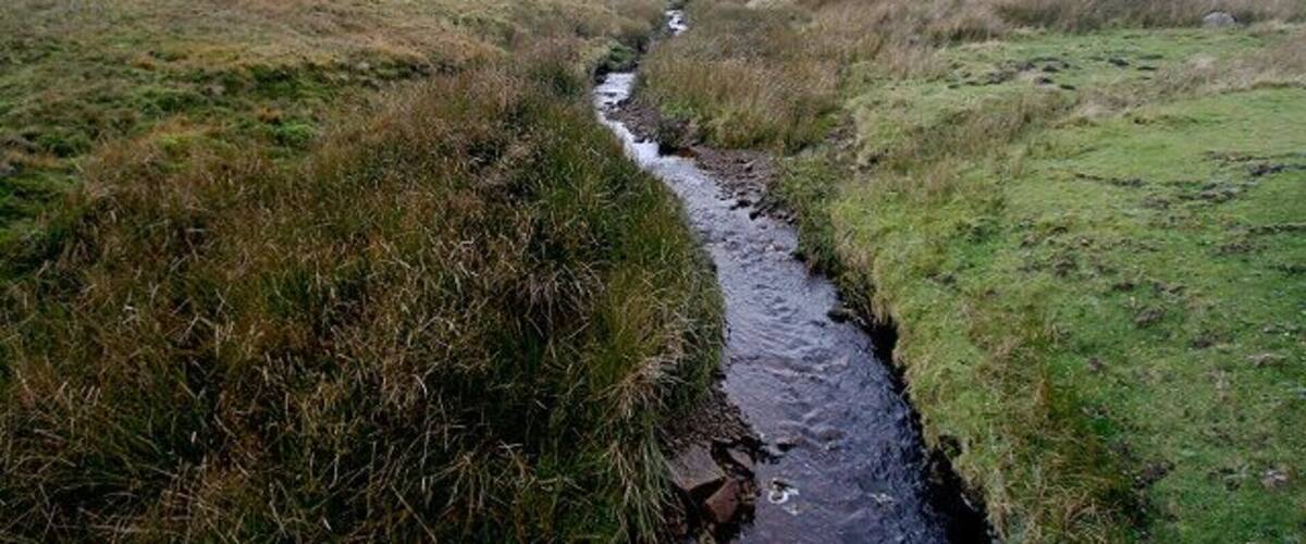 A narrow stream flowing through a grassy landscape with rolling hills in the background.