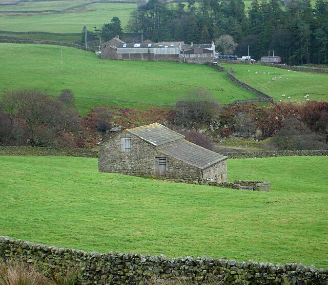 Barn above Low Faggergill Rather larger than many of the traditional field barns, this one is also in the middle of a field, rather than built into a boundary wall.