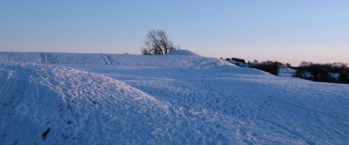 A snow-covered hill with a solitary tree in the distance.