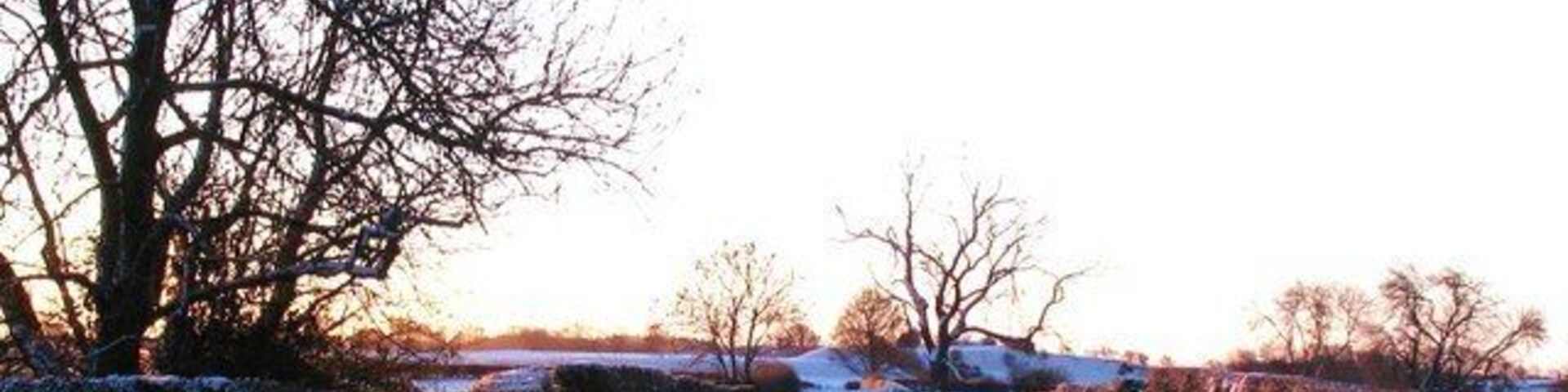 Winn Lane, Topcliffe This ancient track links the site of the former medieval manor at Cock Lodge with the village.