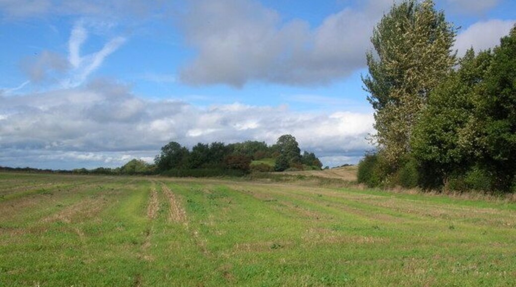 Farmland near Ferrensby. A bridleway starts on the right of the picture, and just out of shot to the left was the old Harrogate to Boroughbridge railway line.