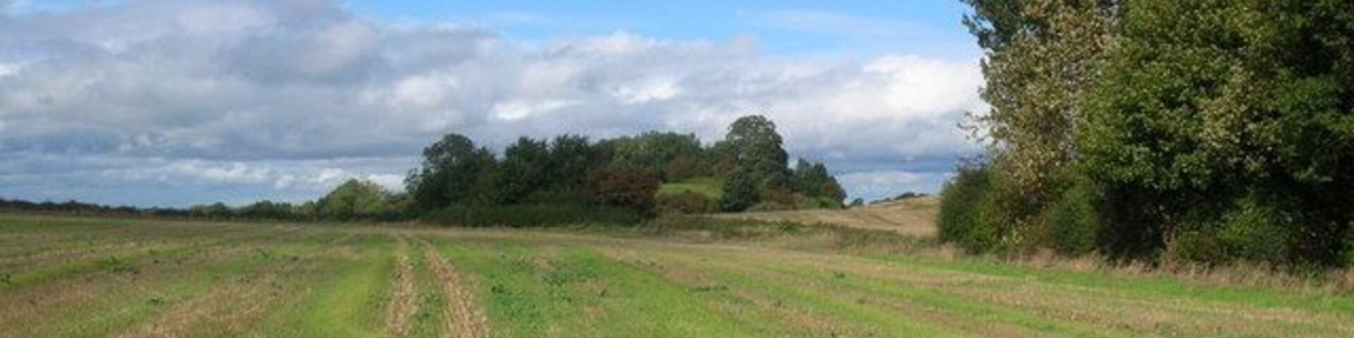 Farmland near Ferrensby. A bridleway starts on the right of the picture, and just out of shot to the left was the old Harrogate to Boroughbridge railway line.