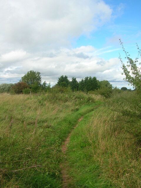 Course of the Harrogate to Boroughbridge railway. This section is part of a bridleway between Ferrensby & Occaney.
