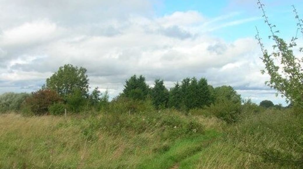 Course of the Harrogate to Boroughbridge railway. This section is part of a bridleway between Ferrensby & Occaney.