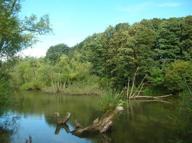 Pond off bridleway from Ferrensby. The bridleway runs from Ferrensby to Occaney.