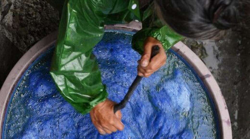 An epic painted on cloth --The Wax dyeing of Danzhai Miao nationality.
https://twitter.com/Beautifulgx