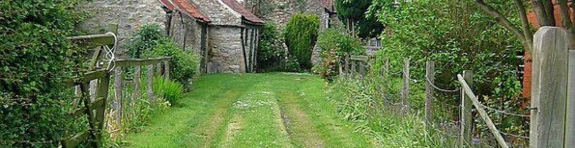 Un estrecho camino rural bordeado por casas de piedra con tejados rojos, en medio de abundante vegetación y árboles en flor.