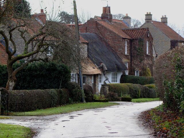 Thatcher at Work New thatch on Mill Street in Harome.