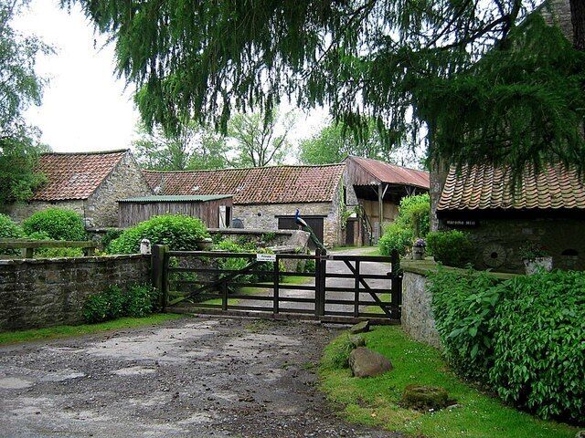 Harome Mill The peacock on the wall is real - not a pretend one!