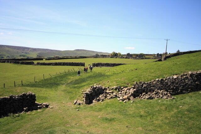 Swaledale Footpath Leading to the cluster of dwellings known as Blades