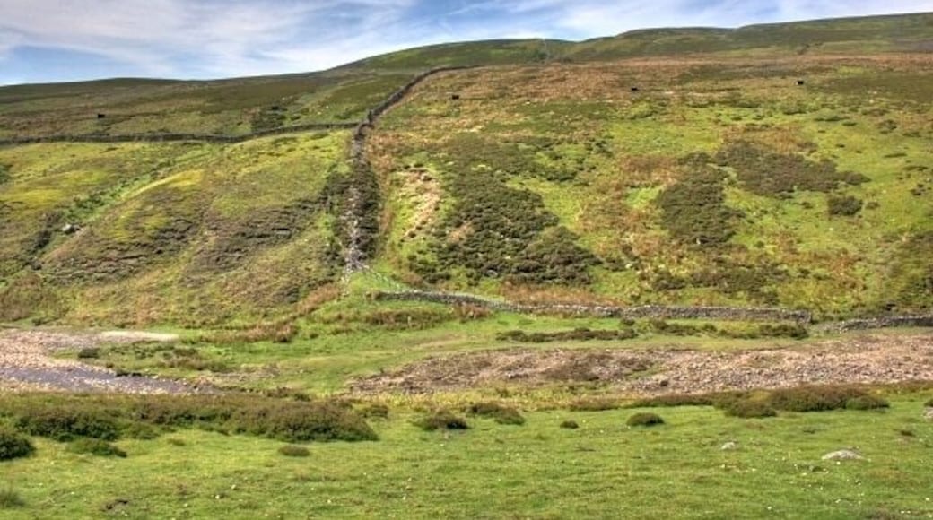 Wall Corner, North Gate Bottom Taken from the track on Smith Hill looking across Mill Gill otherwise known as Old Gang Beck.