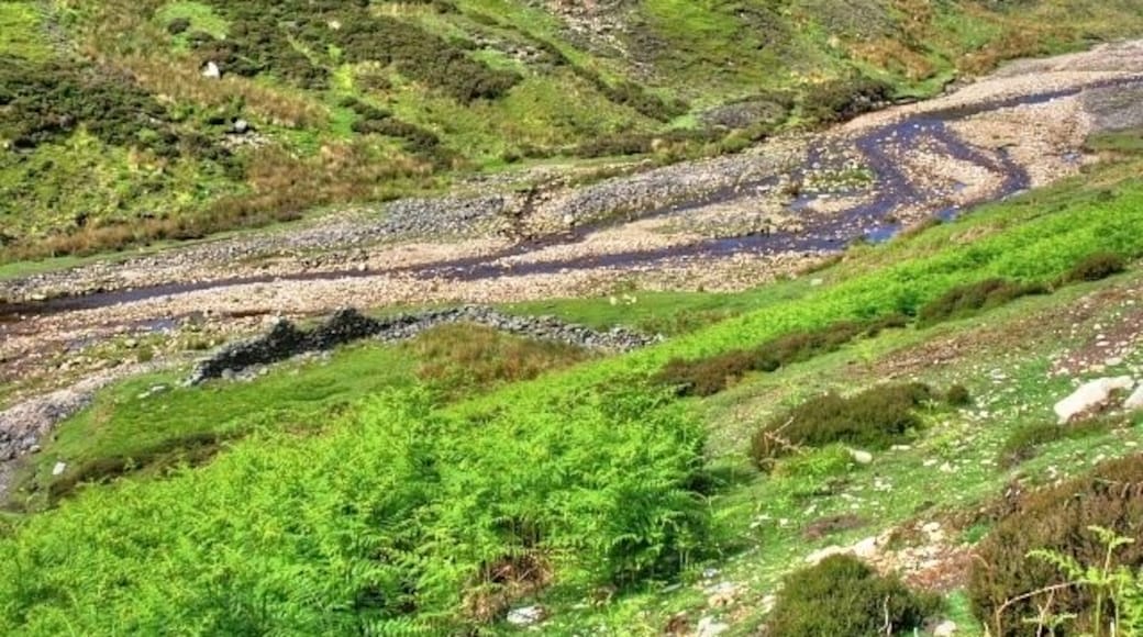 Ruined Wall, Mill Gill Or Old Gang Beck as this river is otherwise known. The wall was probably no more than a sheep enclosure.