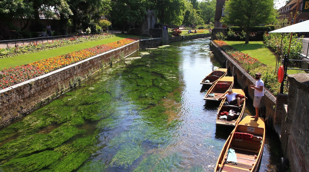 Waiting for passengers