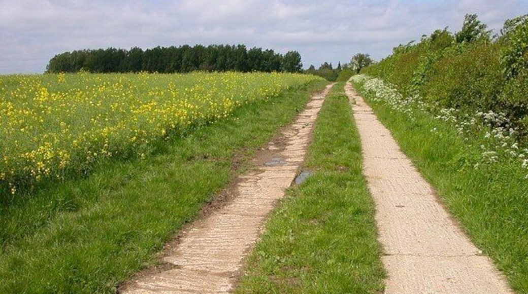 Paulerspury Heading towards Park Farm.