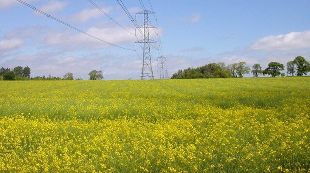 Plumpton End Not as quiet as it looks near the Pylons.