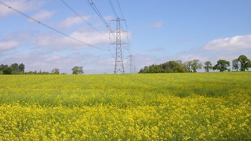 Plumpton End Not as quiet as it looks near the Pylons.