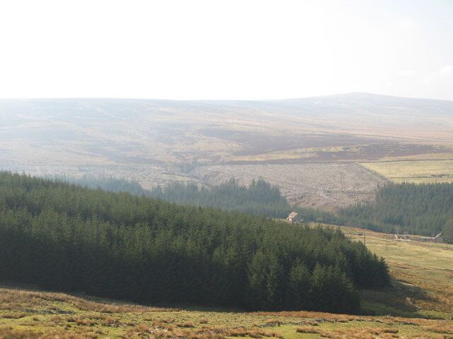 Panorama from Gill's Quarry (6 - towards High Westend Allotment). A large section of the Allenheads Plantation (on the far side of the valley, centre) has recently been cleared. On the horizon (right) is 208137 (photo by Richard Webb).