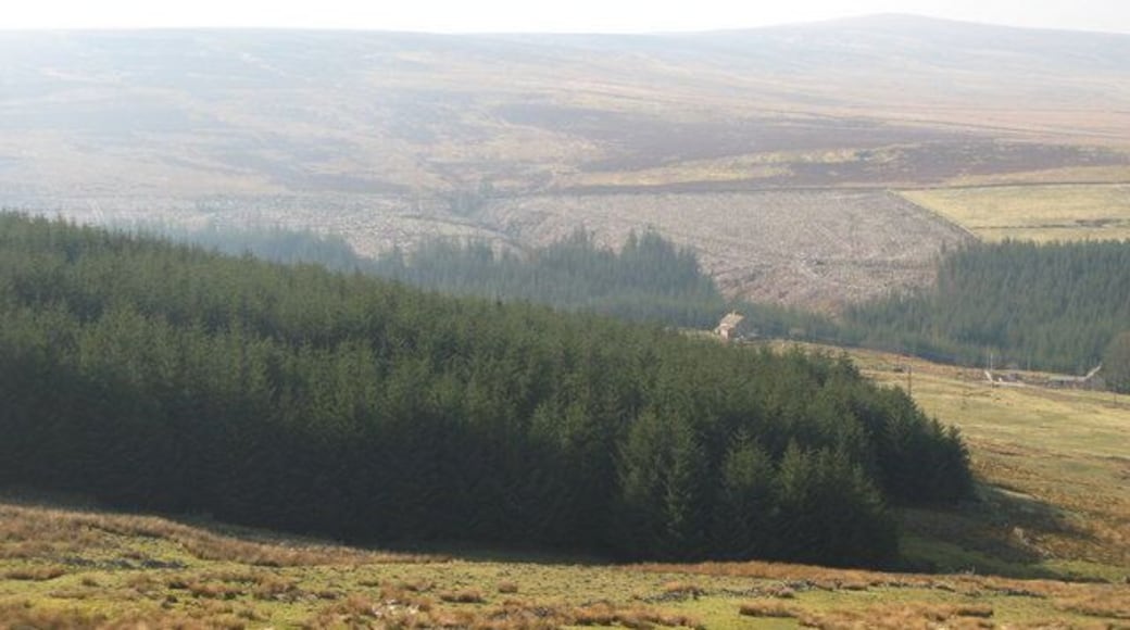 Panorama from Gill's Quarry (6 - towards High Westend Allotment). A large section of the Allenheads Plantation (on the far side of the valley, centre) has recently been cleared. On the horizon (right) is 208137 (photo by Richard Webb).