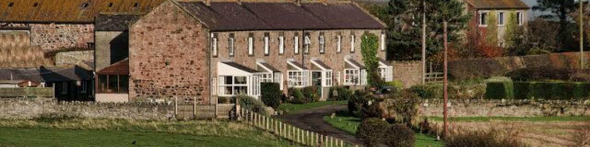 Dunstan Square Cottages at Dunstan Square Farm.