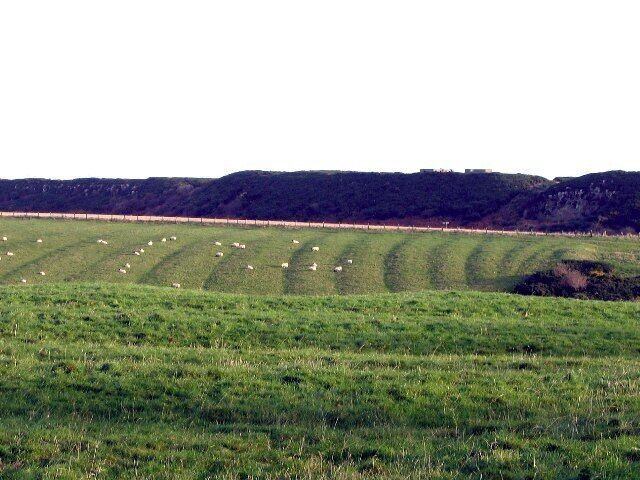 Ridge and furrow field pattern, Dunstan, Northumberland, Great Britain. The concrete buildings that housed a radar station during the Second World can be seen on the skyline above Craster Heugh.