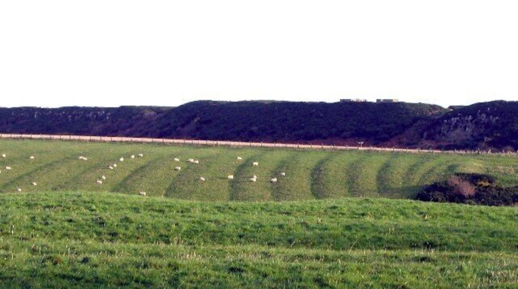 Ridge and furrow field pattern, Dunstan, Northumberland, Great Britain. The concrete buildings that housed a radar station during the Second World can be seen on the skyline above Craster Heugh.