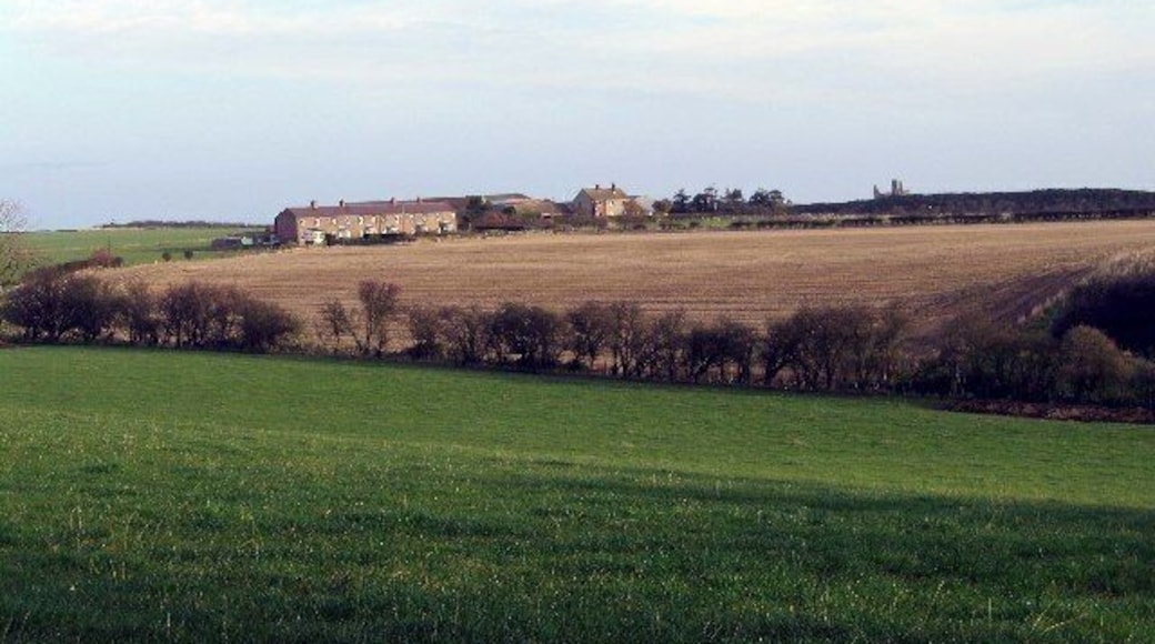 Dunstan Square. The ruins of Dunstanburgh Castle can be seen on the skyline above Dunstan Square farm.