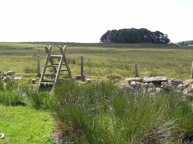Ladder stile, moor and plantation near Knowesgate On the St Oswald's Way http://www.stoswaldsway.com/home.html, a 156 Km long trail which runs from Heavenfield near Hexham to Holy Island on the Northumberland coast (although more commonly walked in the opposite direction).