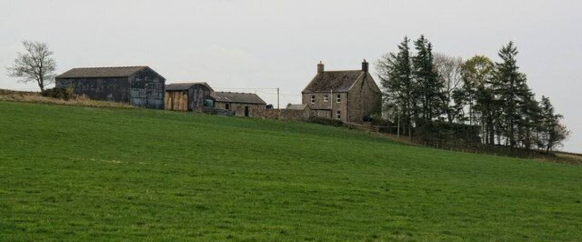 A green field with a hill, a stone house, and several wooden buildings.